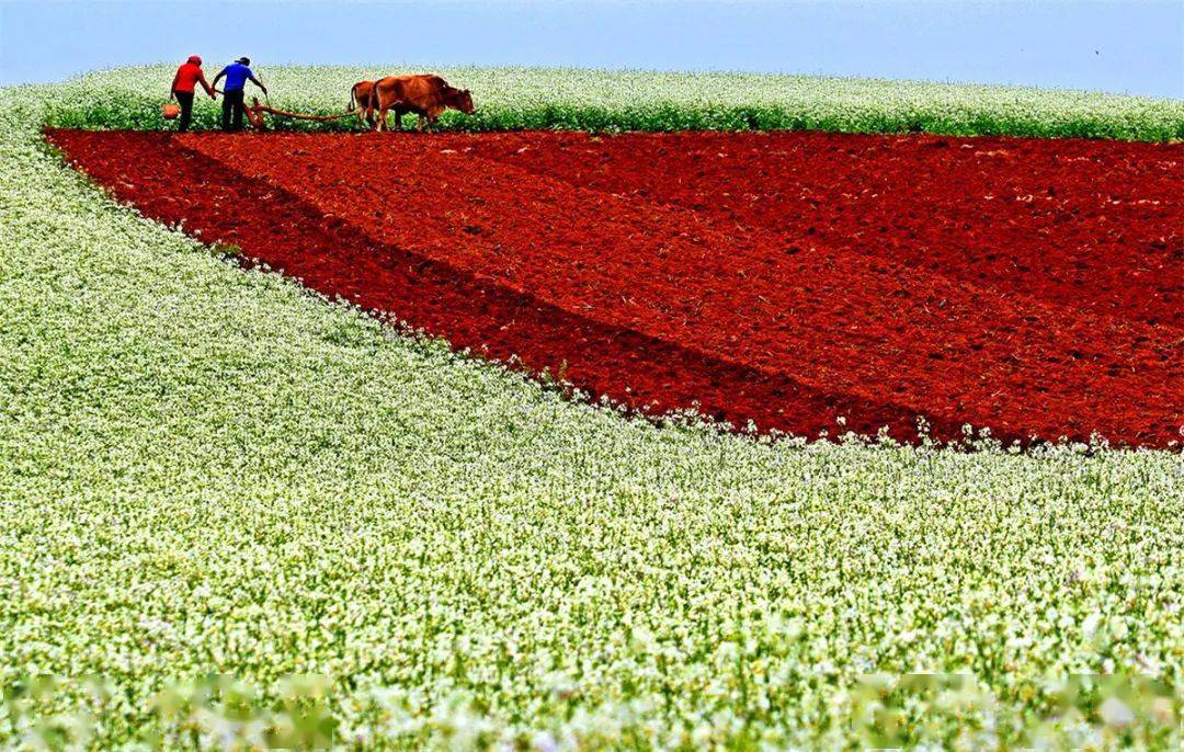 宣威市gdp_宣威市地图(3)