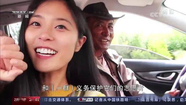 "她的说走就走,其实不简单!"白岩松点赞衢州姑娘朱宁锐