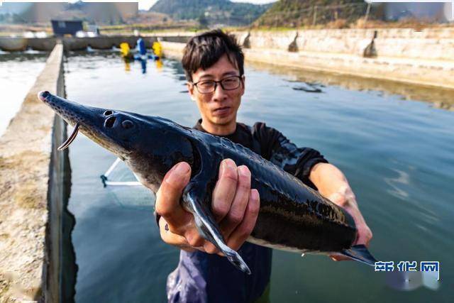 遵化gdp_遵化一中图片(3)