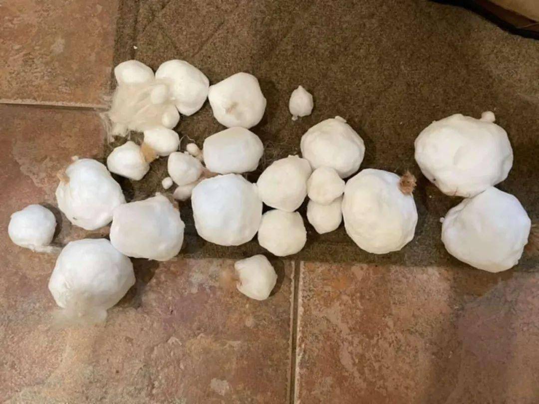 容大雪球