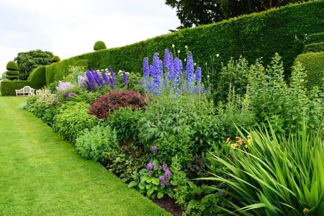一个赏心悦目的花境做好花境植物种植真的很重要