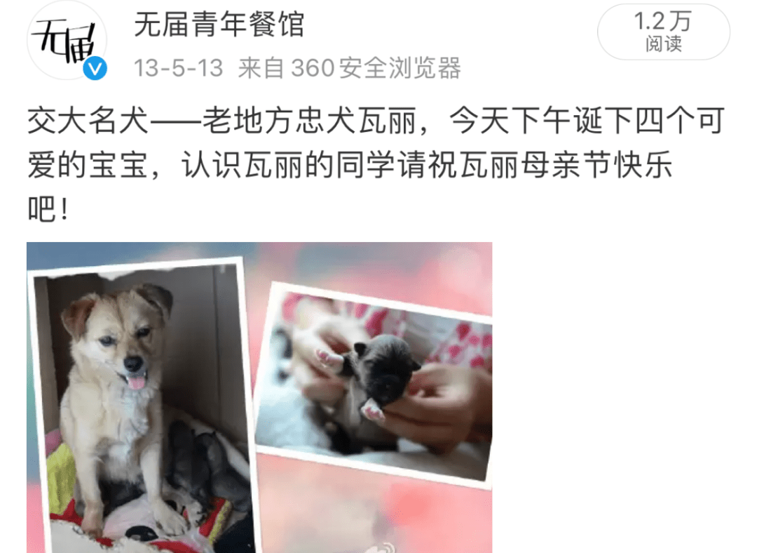 9bdb24f291654a08a56c78a9b7752528.png