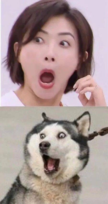 aadd3ed4182b446fa1ad8ddfb05c7ce3.jpeg