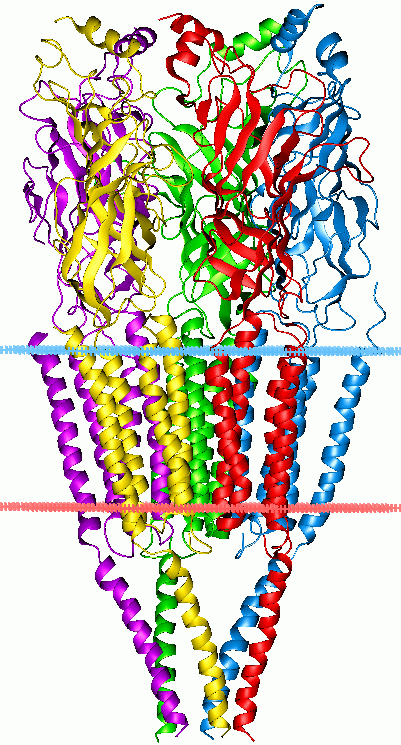 c506f7befc77430695c0f389e2490c19.png