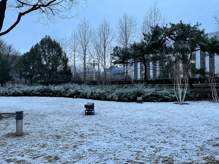 一觉醒来北京又下雪了新鲜雪景图已到货