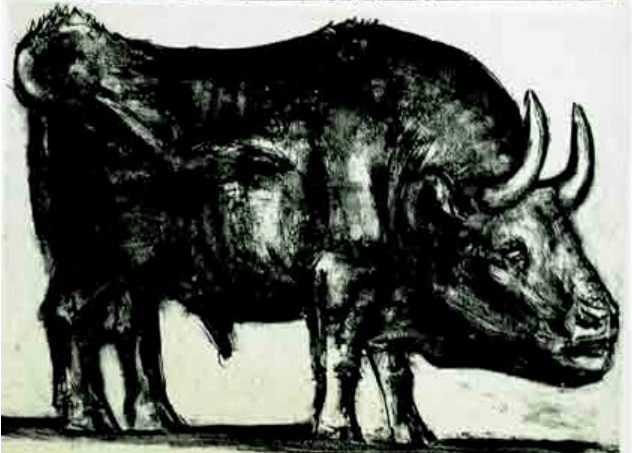 毕加索 | 与牛的不解之缘