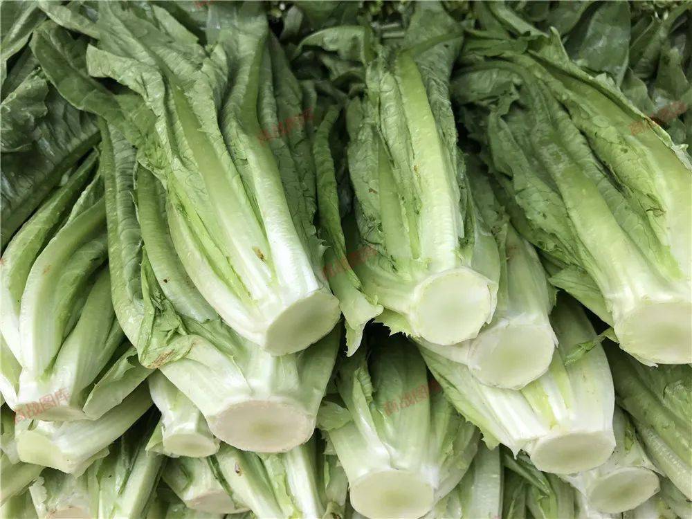 面条菜是高纤维蔬菜吗 f9ca208775354fa498eafdfa60bd4816.jpeg