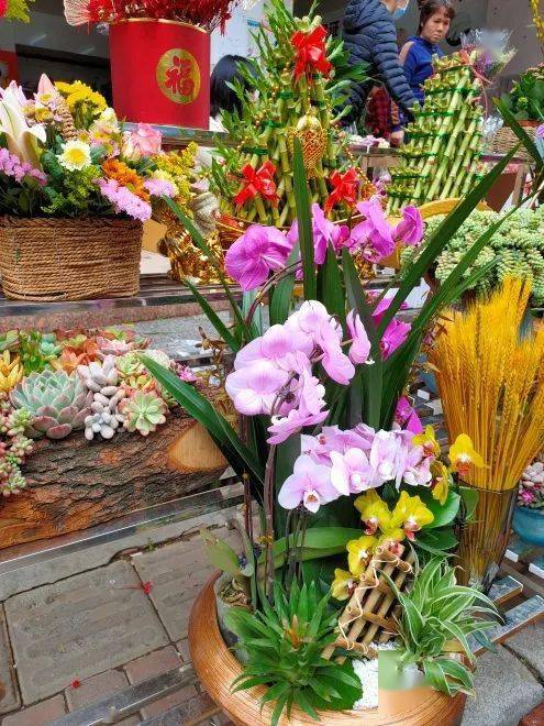 花在花城的正确打开方式 赏花 吃花 穿花 撰花 花市