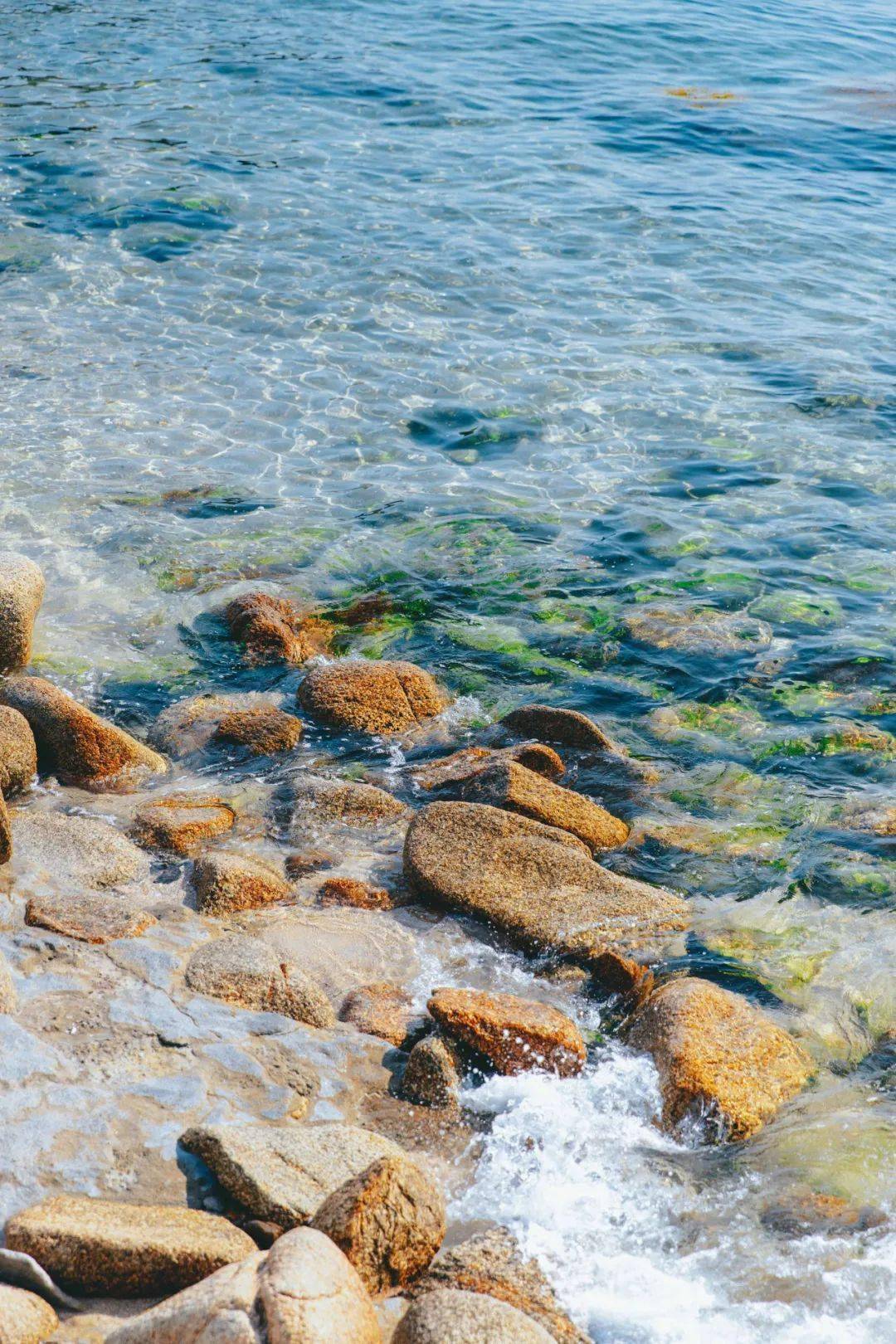 水底错落的礁石清晰可见岸边浅水处，水纹倒映微光到国外度假也不过如此