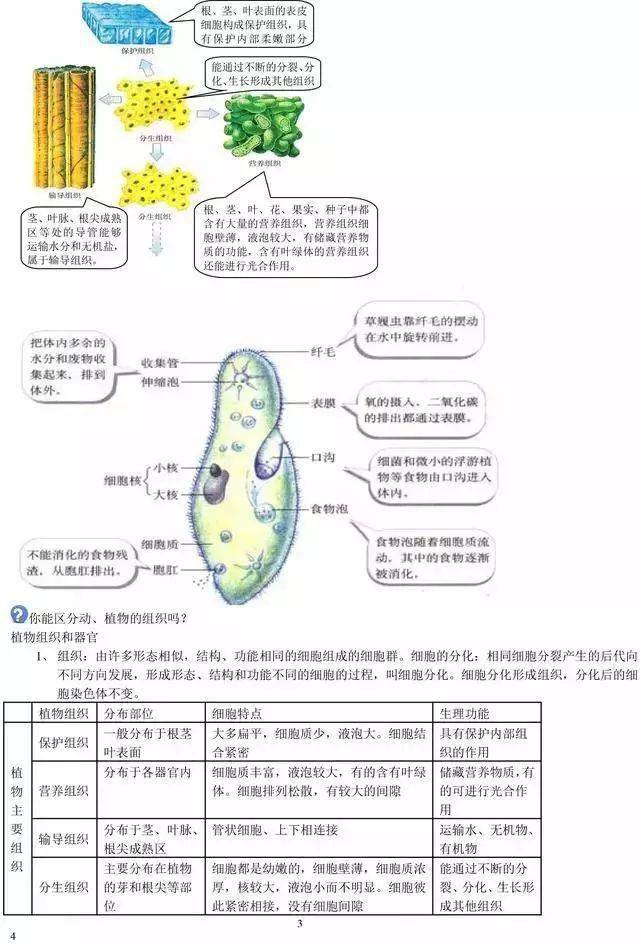 初中生物重点知识 给孩子贴墙上背 一分不扣 生物学