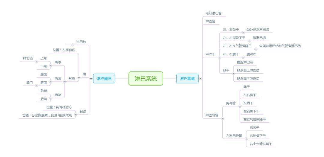 【思維導圖】解剖學,這樣記憶更高效!_系統