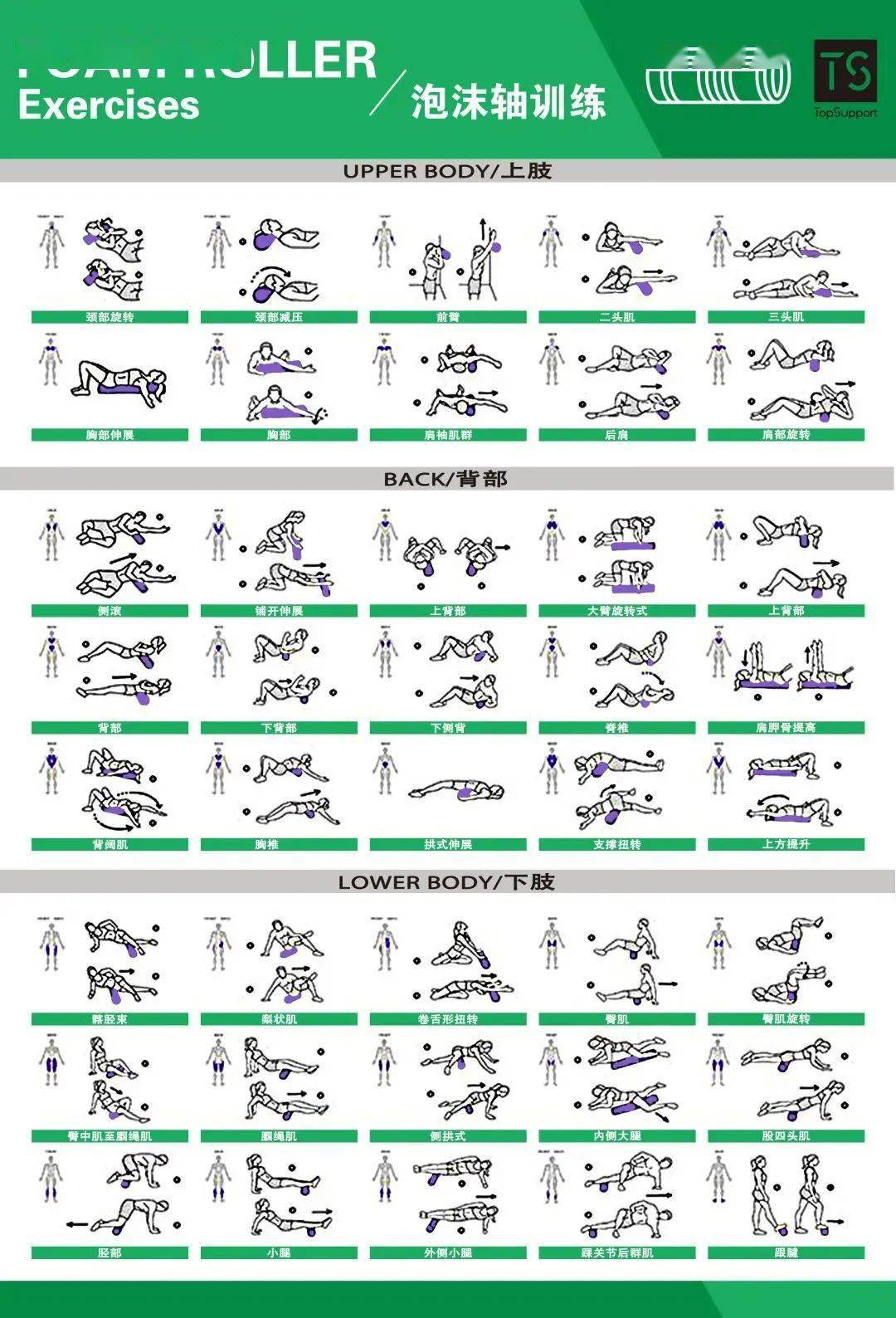 11种体能训练动作库图解大全