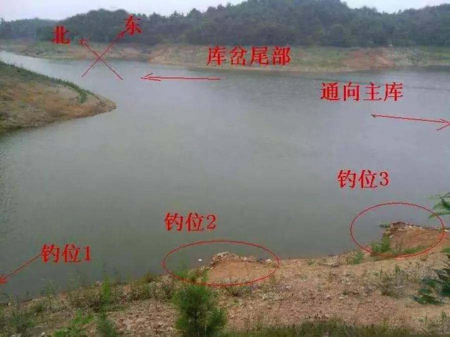三峡大坝鱼道示意图图片