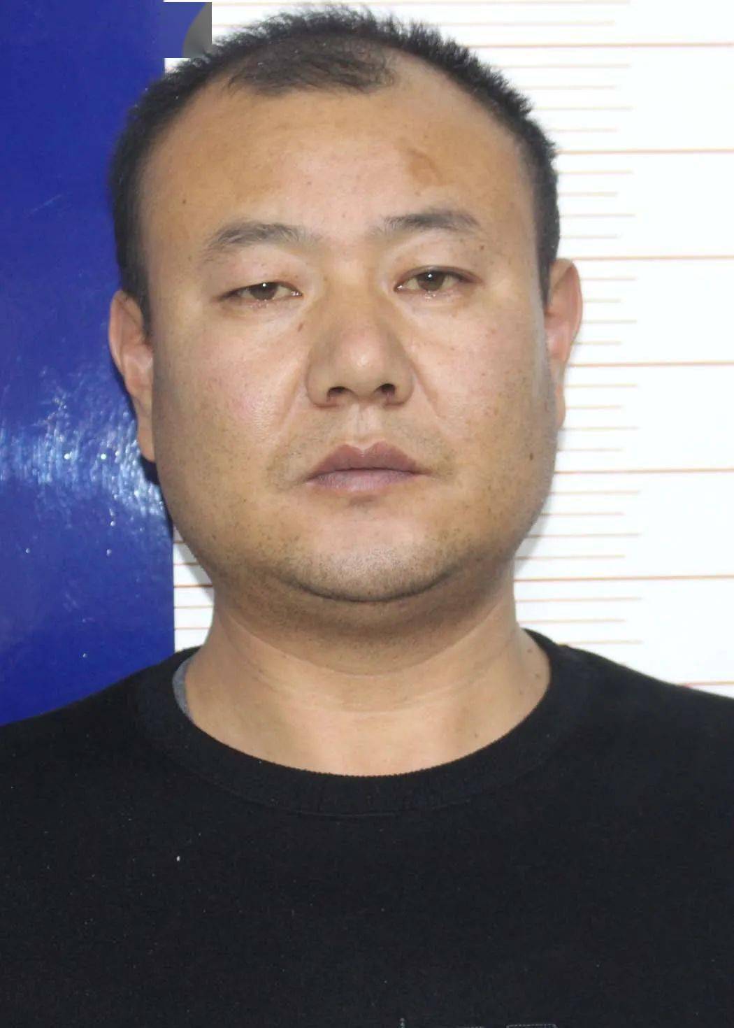 高台县公安局关于公开征集