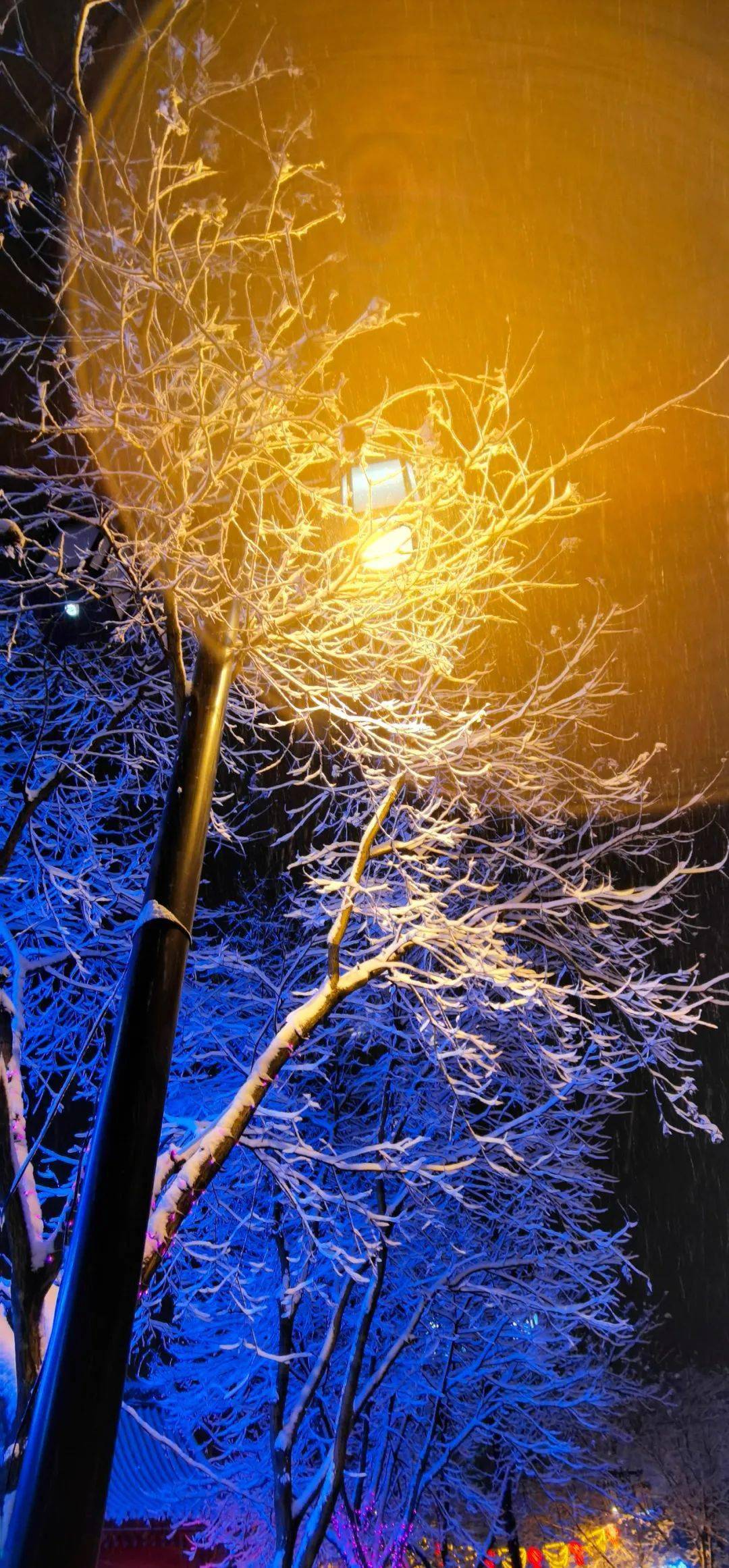 下雪夜景 真实图片