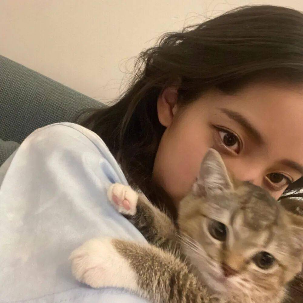 百看不厌的微信头像