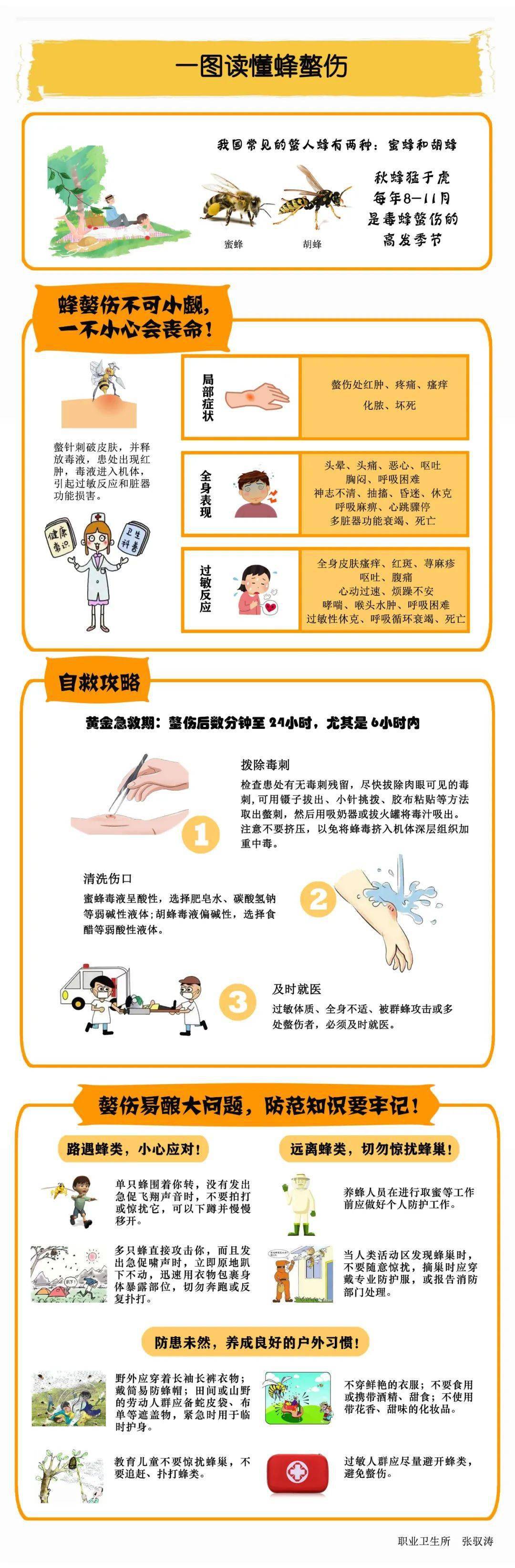 一图读懂蜂蜇伤