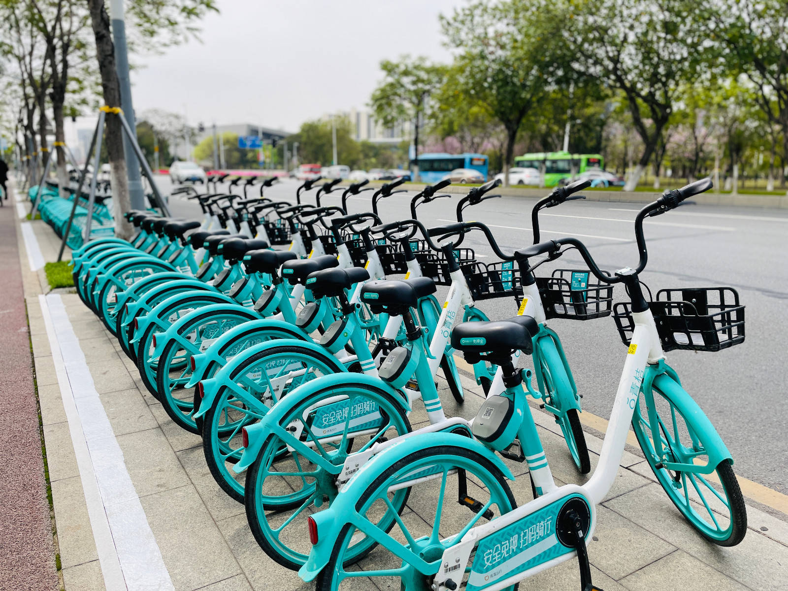 共享单车来南沙了你今天体验了吗