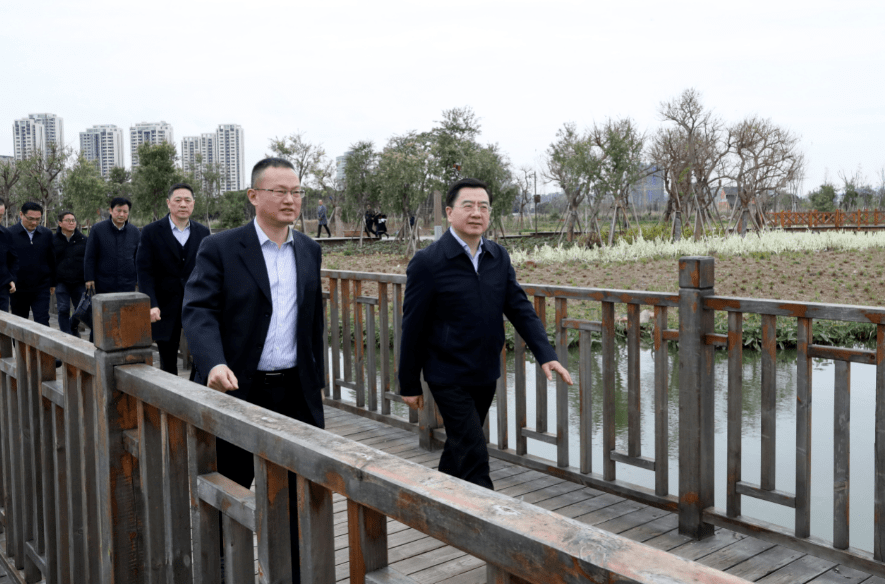 陈伟俊,王军,李无文,黄寿龙等市领导,实地察看三垟湿地保护建设,生活