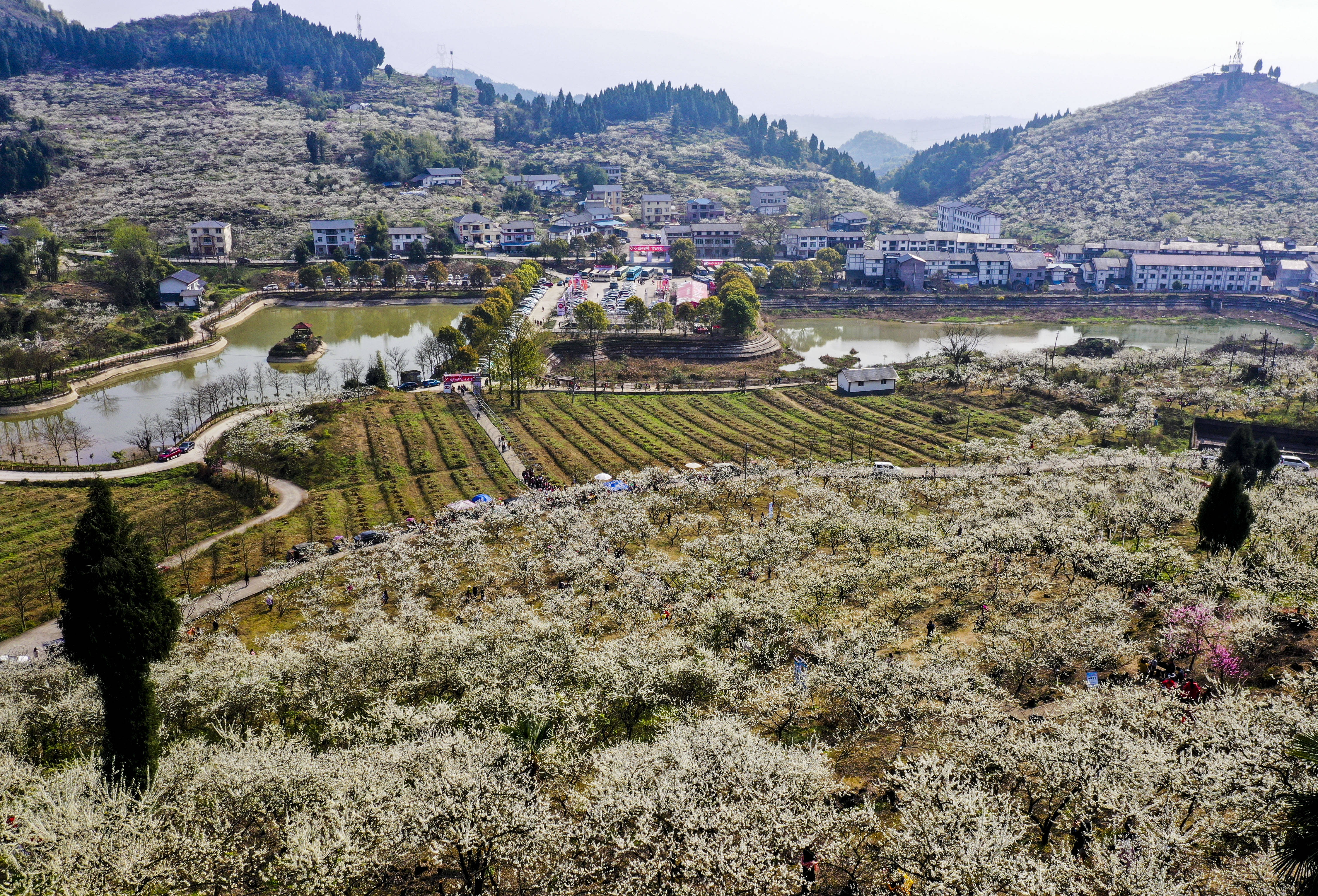 陆丰市河西镇山脚村人口多少人