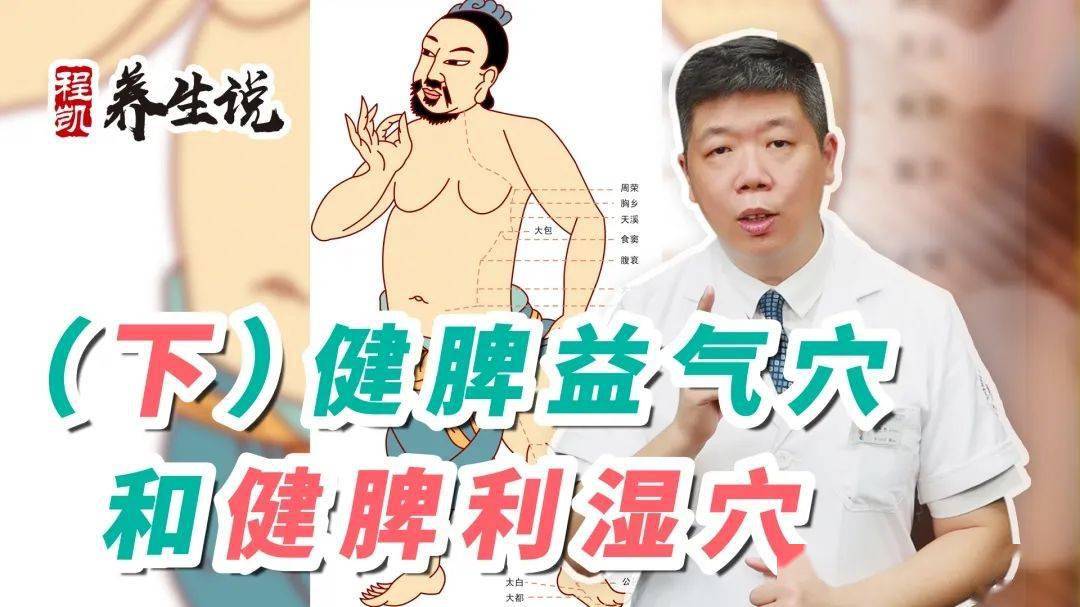 程凯养生说健脾益气穴和健脾利湿穴下