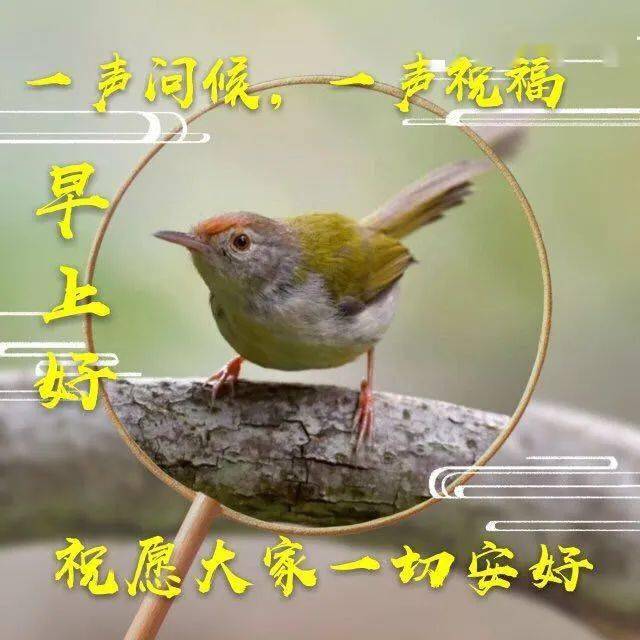 春天早上好暖心早安图片带字带问候语春季早安问候语简短