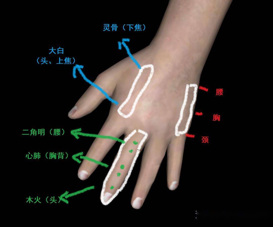 董氏奇穴的手掌秘密
