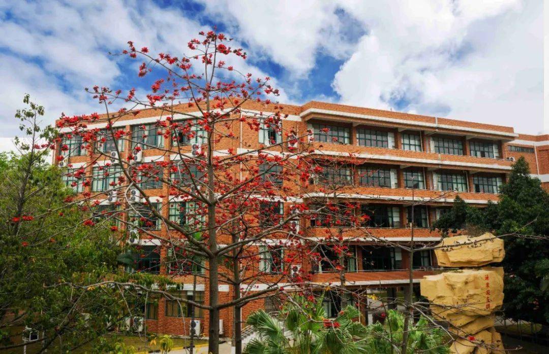 遇见61竹中三月的竹中红了