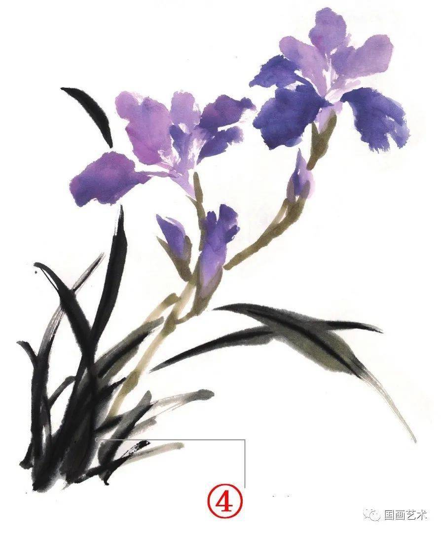 写意玉簪花鸢尾花等画法示范