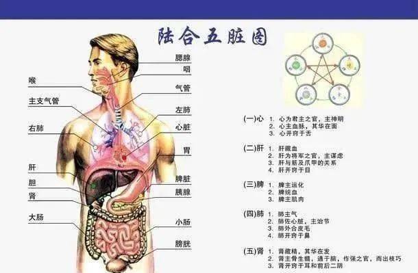 美国宣布：中医经络被发现，世界医学将进入新时代！_手机搜狐网