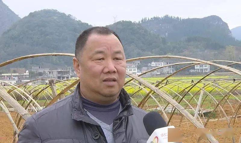 兴仁春来到九头村民种瓜忙