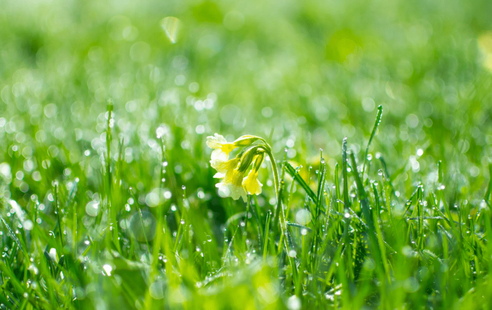 什么时候天气才会转暖 407bfb6a93d84f3dae7e17b2adb9b406.png