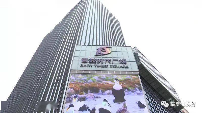 临夏市,尽可能地创造就业岗位,为群众提供优质的服务,这就是鲁鸿宙