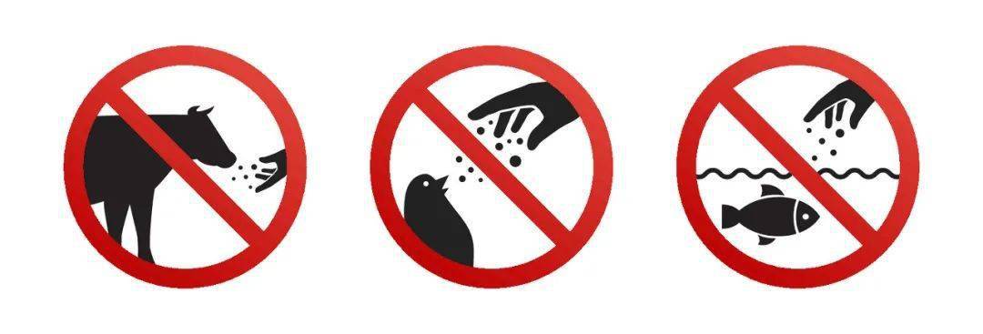 动物园禁止喂食警示牌图片