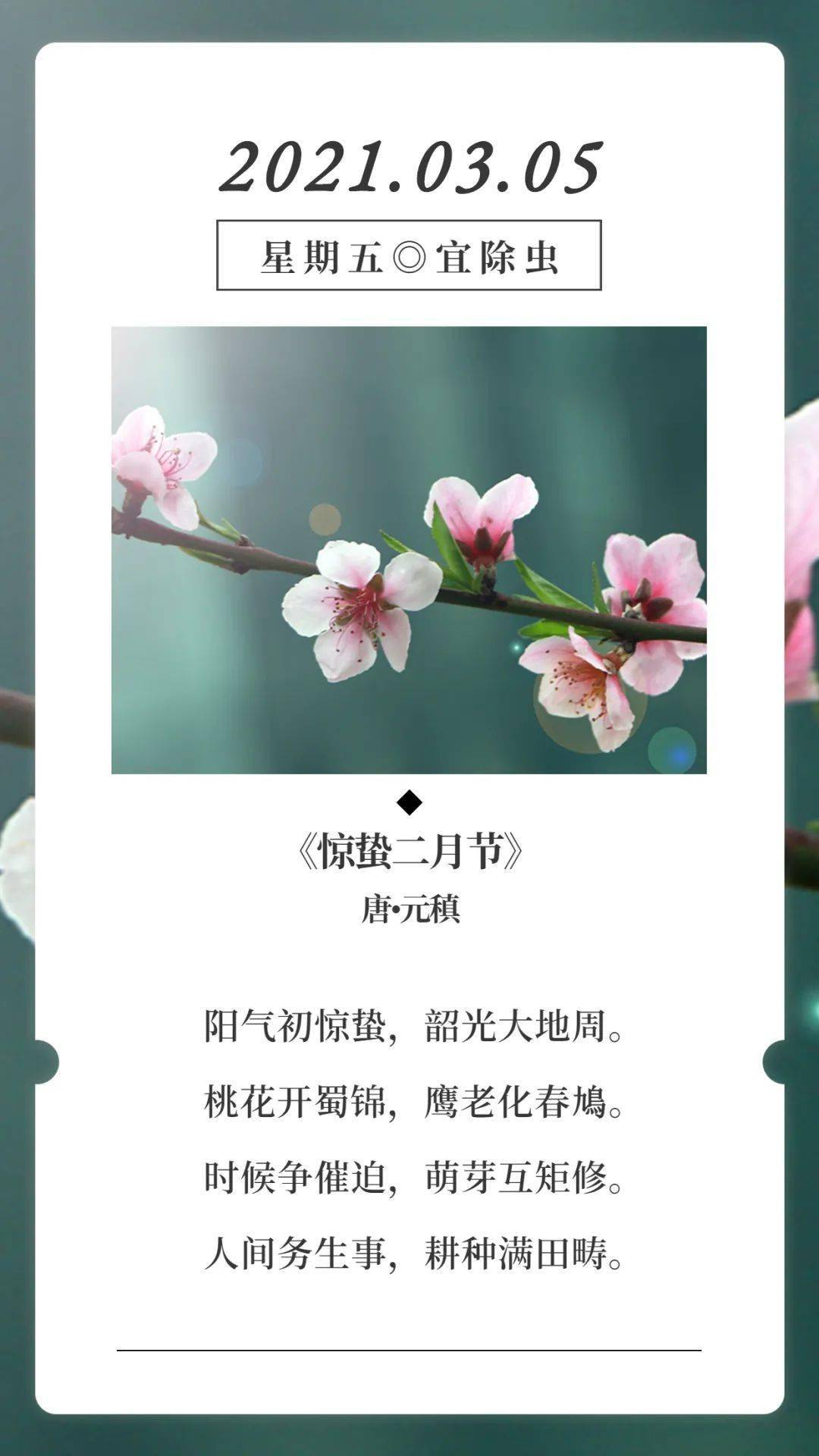 古诗词日历 元稹 惊蛰二月节 赏析 桃花