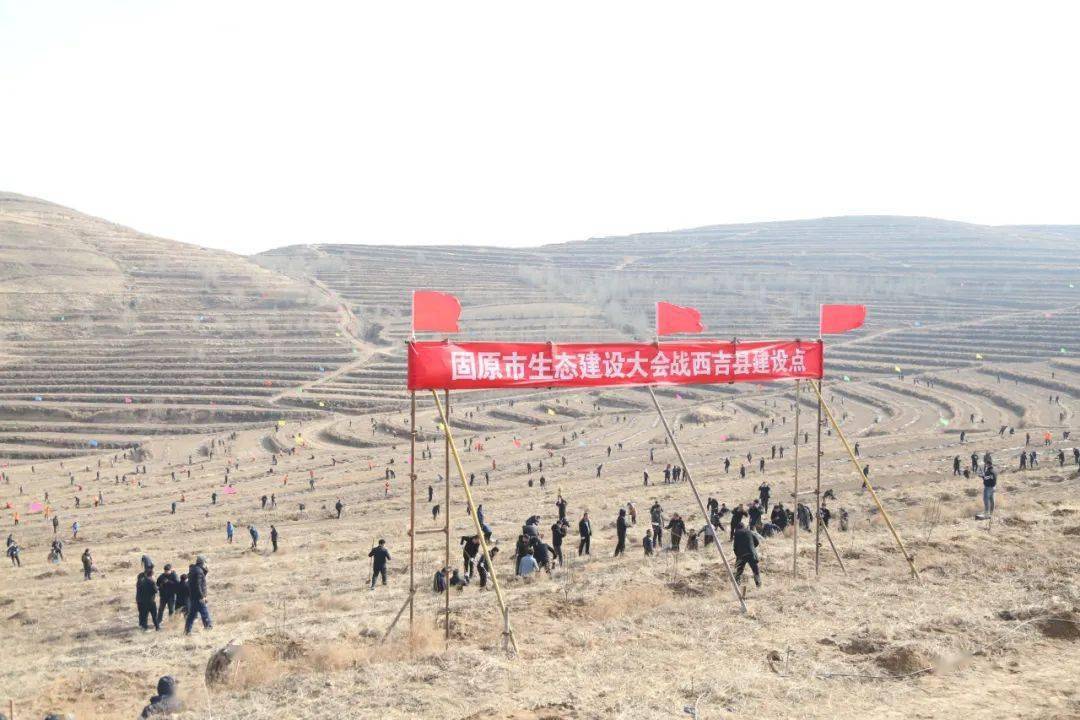 原州区在黄铎堡镇何家沟村启动大会战2021年原州区计划完成营造林18万