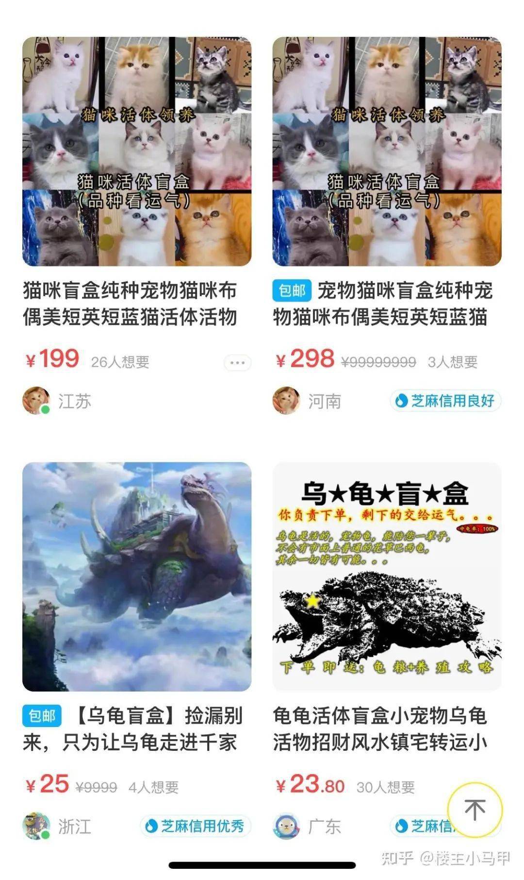 35元70g虐猫视频!遏制虐猫狗黑色产业链,人大代表再提反虐待动物立法