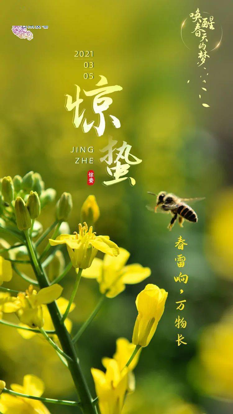 今日惊蛰那些蛰伏的惊喜终将破土而出