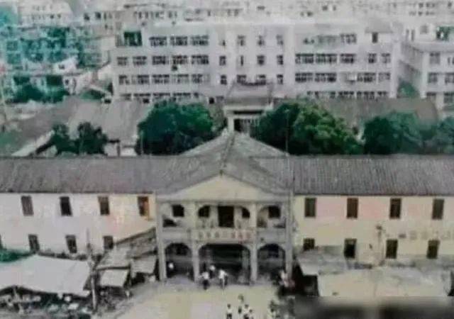 普宁多少人口_普宁豆干