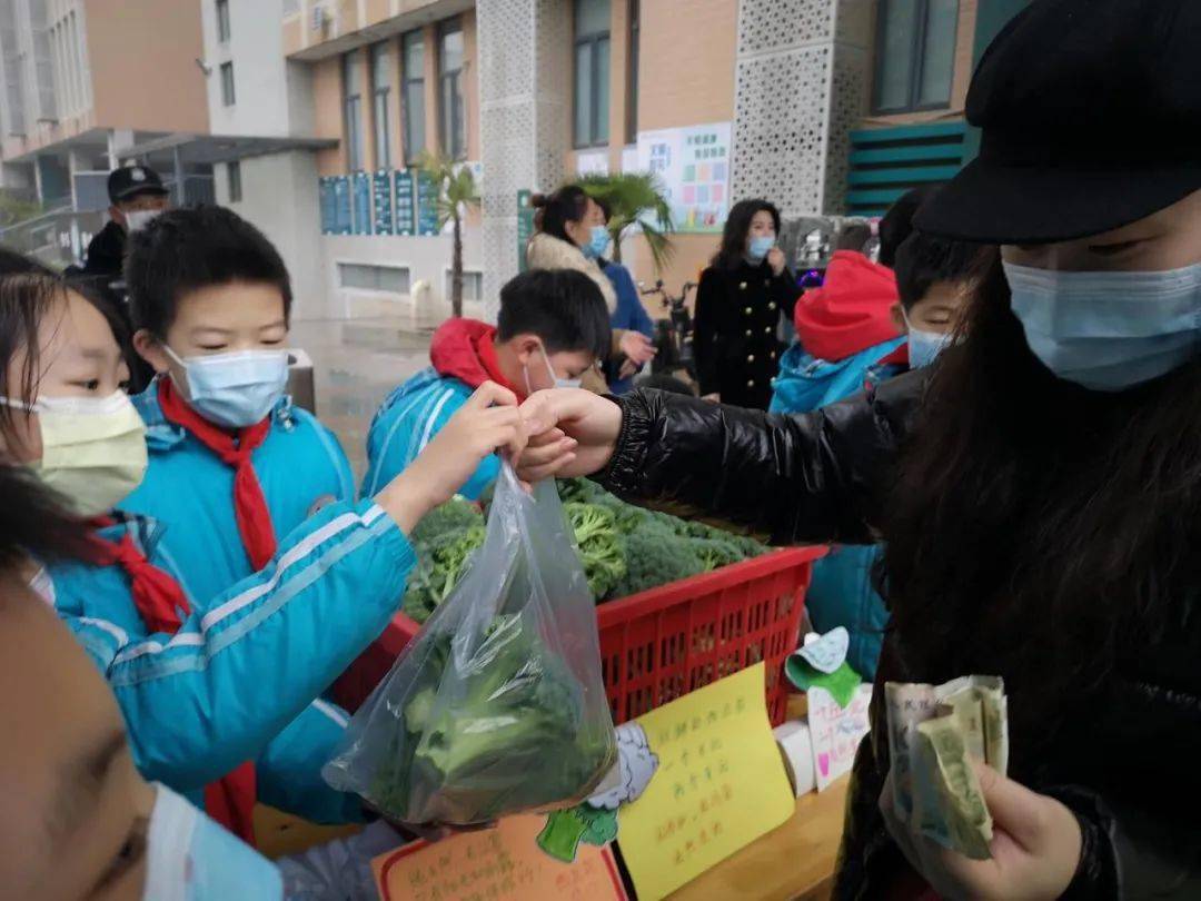 小学生化身"菜农"体验劳动快乐