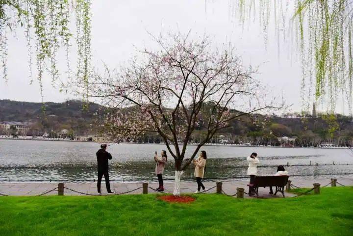 免票后客流量增长数倍，温州江心屿会成长为另一个“西湖”吗？