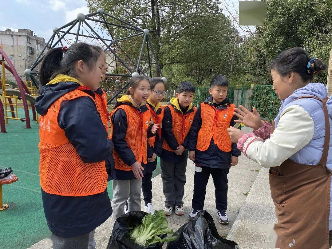 杭州春芽实验学校杭州市茅以升实验学校杭州市景华小学杭州市笕桥小学