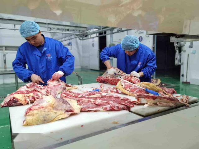 郏县多少人口_郏县豆腐菜图片(3)