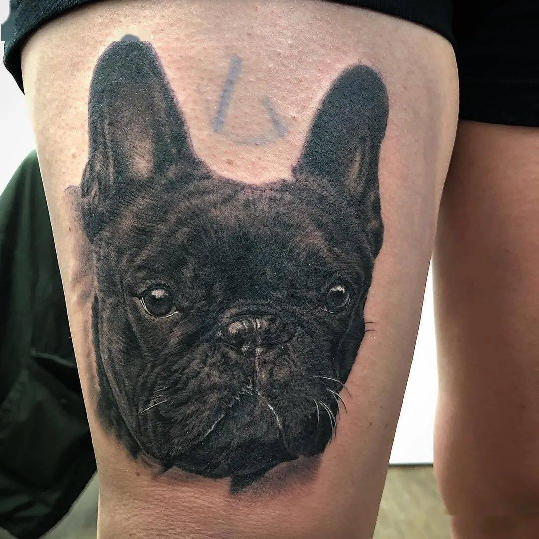 50 狗狗纹身,爱它才把它纹在身上!