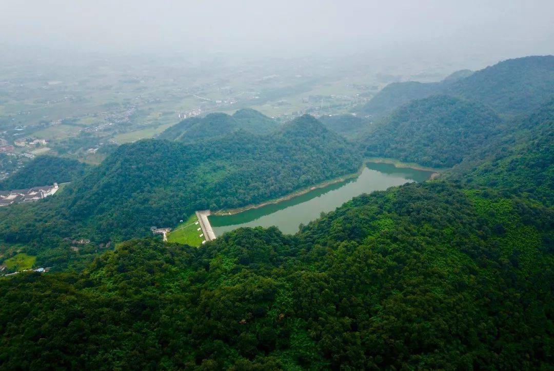 3月14日 柒月麓山 | 春有百花幽竹,碧波轻漾太平湖