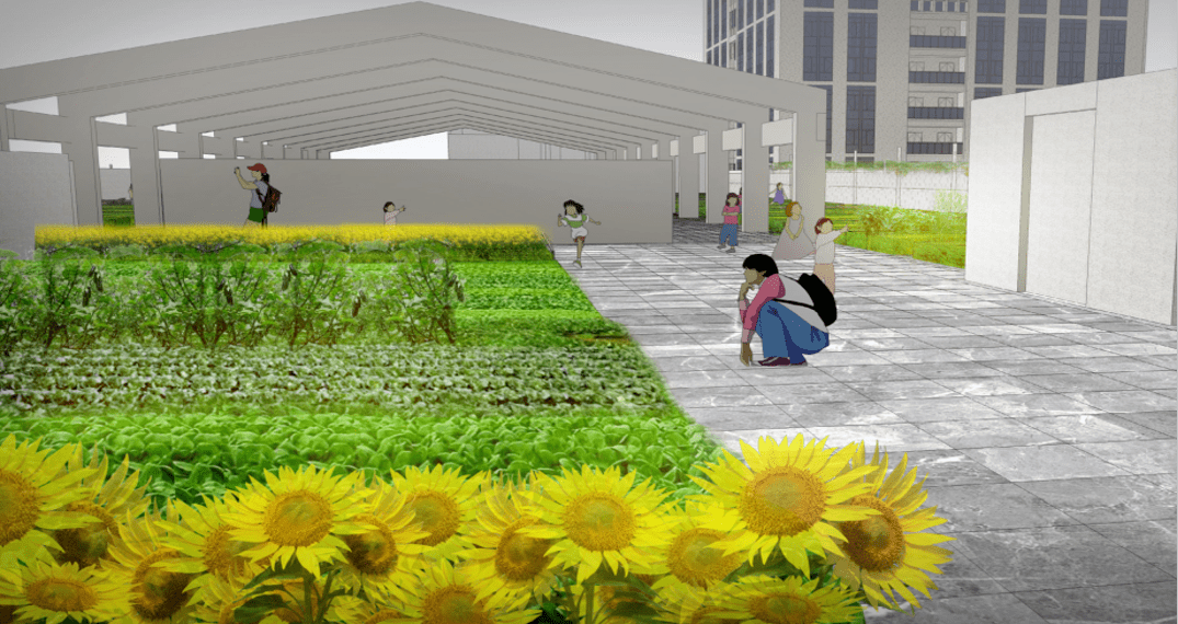 你会喜欢吗?有花,有果,有蔬菜有屋顶农场如果一所学校你会喜欢吗?