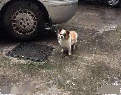 85f47daef81d4dcfafac5c30d52b48a0.jpeg