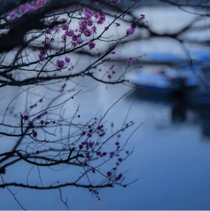 春日已至，草长莺飞，快来看江阴花景！