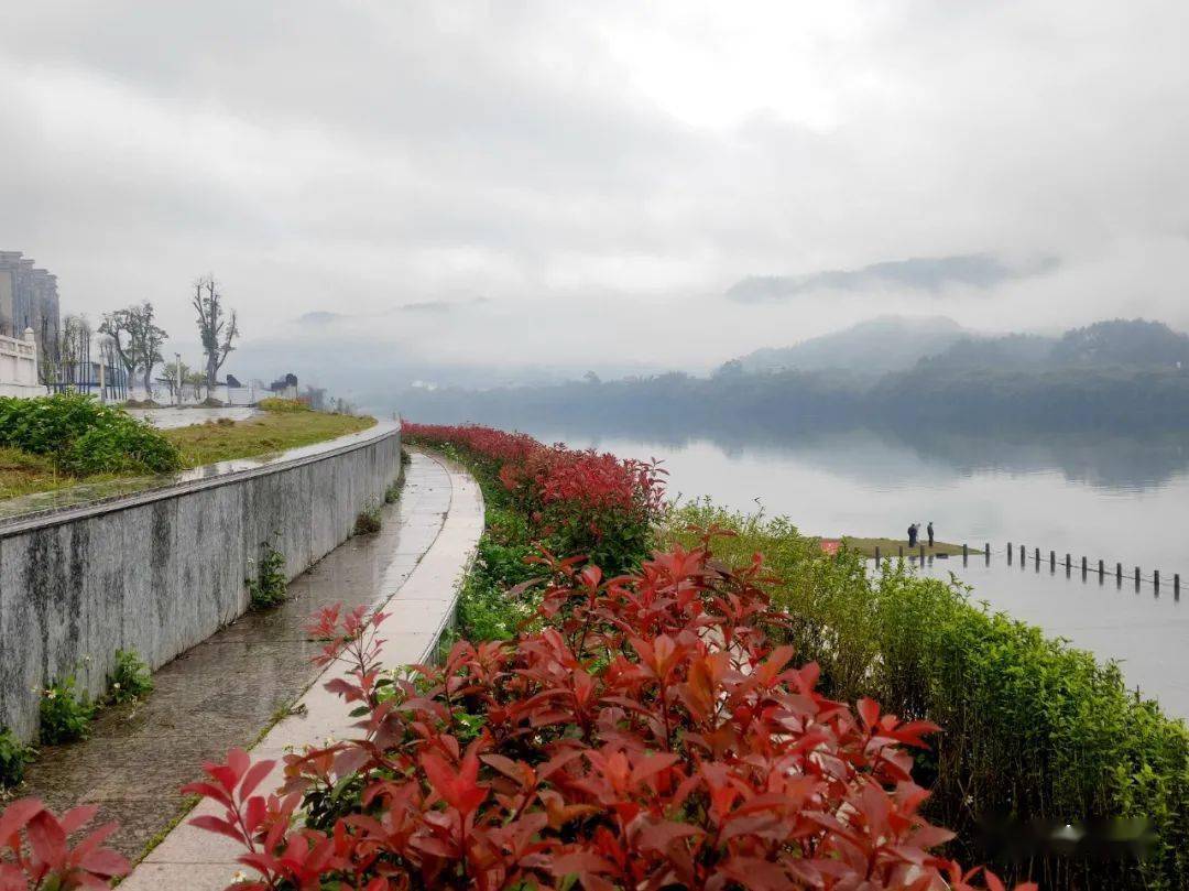 昭平桂江已进入最美时期春雨蒙蒙桂江烟雨观景