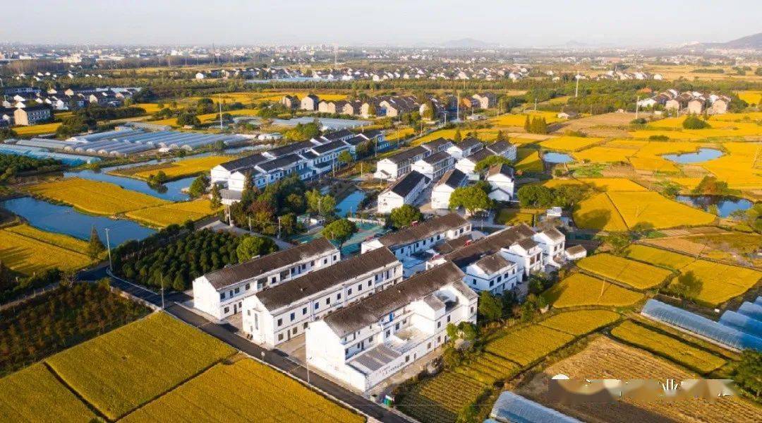 向阳村璜土镇常泽桥村新桥镇何巷村--------来源:江阴市农业农村局